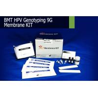 BMT HPV Genotyping 9G DNA Membrane KIT