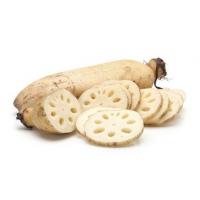 Lotus root extract, White Lotus root extract, Nelumbo nucifera root extract, INCI Name:Nelumbo Nucifera Gaertn Extract.  Made in Korea