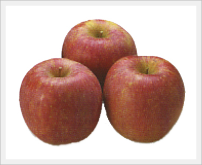 Apple(Fruit)  Made in Korea