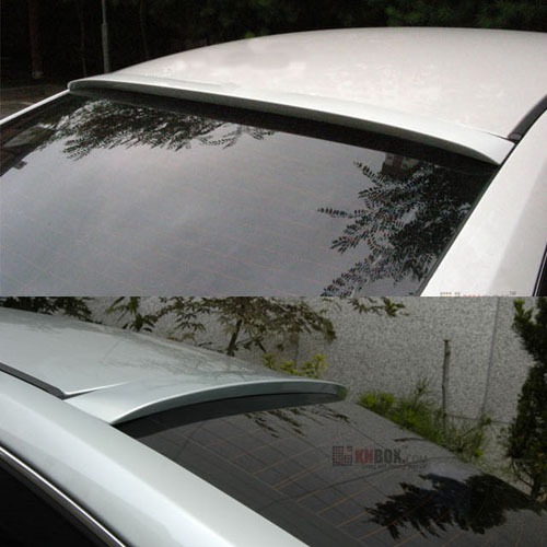 06 SM 5 Rear Glass Wing - R type
