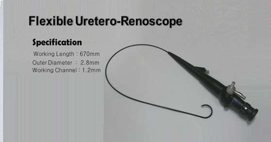 Flexible UreteroRenoScope