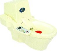 Sitz bath system with steam