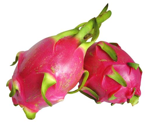 Dragon fruit extract, Pitaya Extract, Pitaya fruit powder Made in Korea