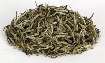 White Tea Extract, Organic White Tea Extract Made in Korea