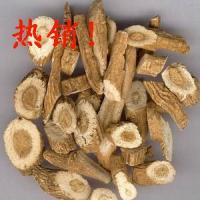 Isatis Root Extract, Radix isatidis P.E. Made in Korea