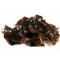 Auricularia auricula Extract