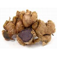 Black Ginger Extract, Thai black ginger Extract,Kaempferia parviflora Extract