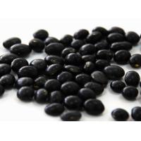 Black soybean hull extract, Black Soybean Peel Extract, Black bean peel extract, Black Bean Extract