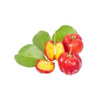 Cherry Extract, Tart Cherry Extract, Black Cherry Extract, Prunus serotina fruit juice powder, Cherry Stem Extract, Acerola Extract