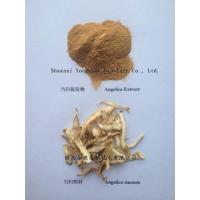 Dong Quai Extract, Angelicae Extract, Dong Quai Root Powder,Dong Quai Root P.E.,Angelica sinensis Flavone,Organic Dong Quai Extract Powder