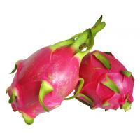 Dragon fruit extract, Pitaya Extract, Pitaya fruit powder