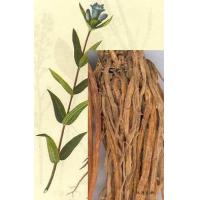 Gentian Root Extract, Gentian Extract, Gentiane radix P.E.