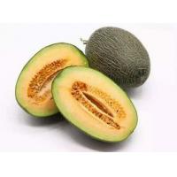 Hami melon extract , Melon Extract, Cantaloupe Extract