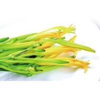 Hemerocallia Fulva extract, Daylily Extract, Needle Flower Extract, Hemerocallis extract