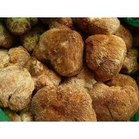 Lions mane mushroom extract, Hericium Extract, Hericium Erinaceus Extract, Hericium erinaceus polysaccharides 20%,4:1